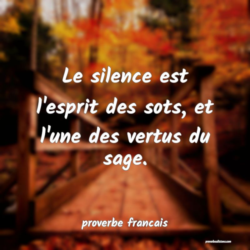  Le silence est l'esprit des sots, et l'une des vertus du sage.