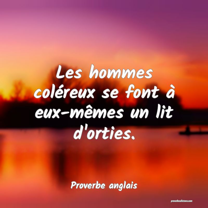  Les hommes coléreux se font à eux-mêmes un lit d'orties.