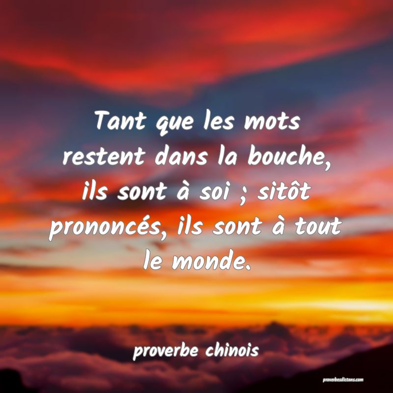  Tant que les mots restent dans la bouche, ils sont à soi ; sitôt prononcés, ils sont à tout le monde.