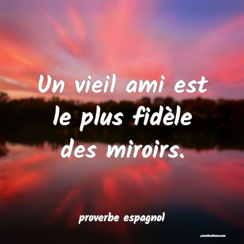  Un vieil ami est le plus fidèle des miroirs.