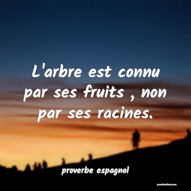  L'arbre est connu par ses fruits , non par ses racines.