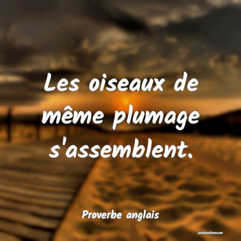  Les oiseaux de même plumage s'assemblent.