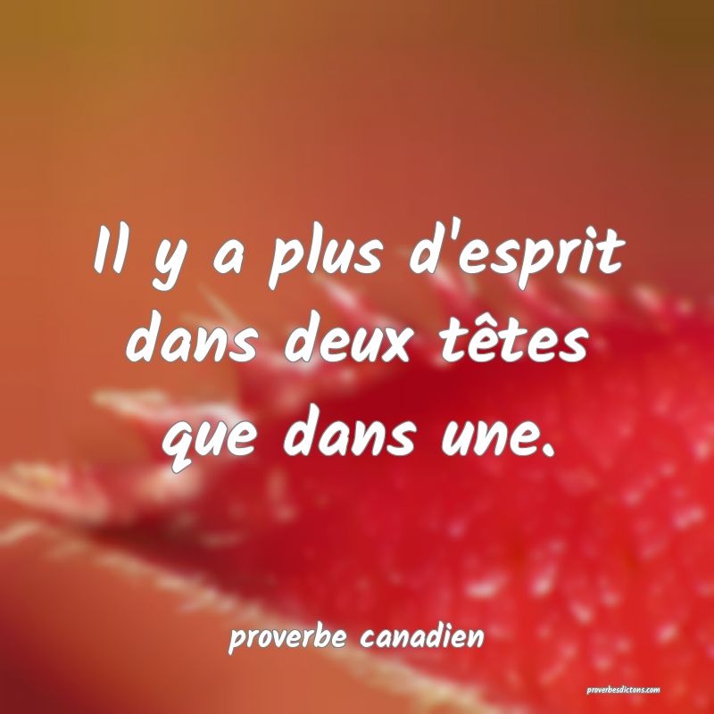  Il y a plus d'esprit dans deux têtes que dans une.