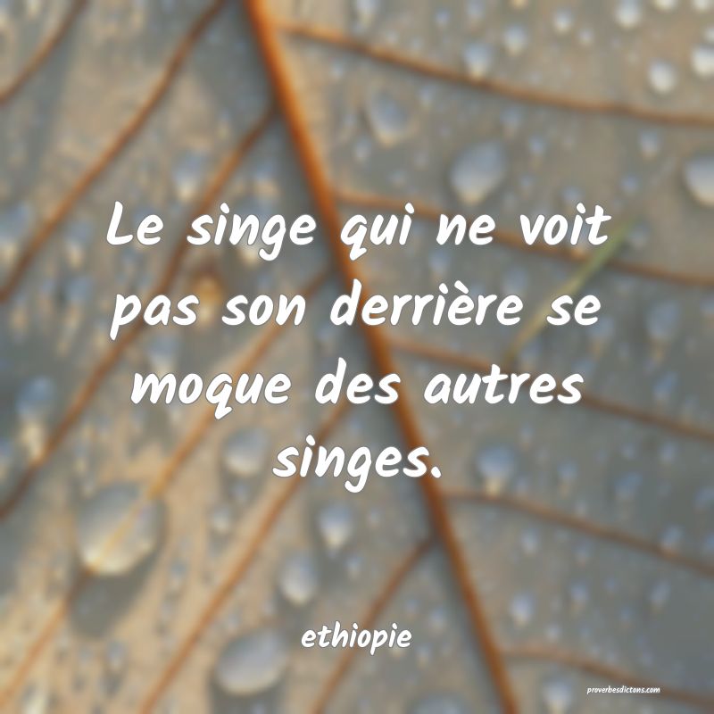  Le singe qui ne voit pas son derrière se moque des autres singes.