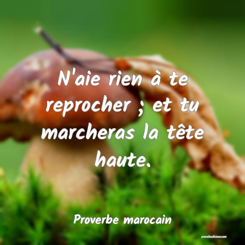 N'aie rien à te reprocher ; et tu marcheras la tête haute.