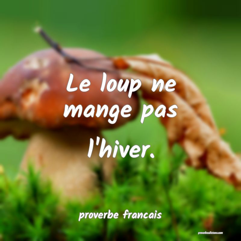  Le loup ne mange pas l'hiver.
