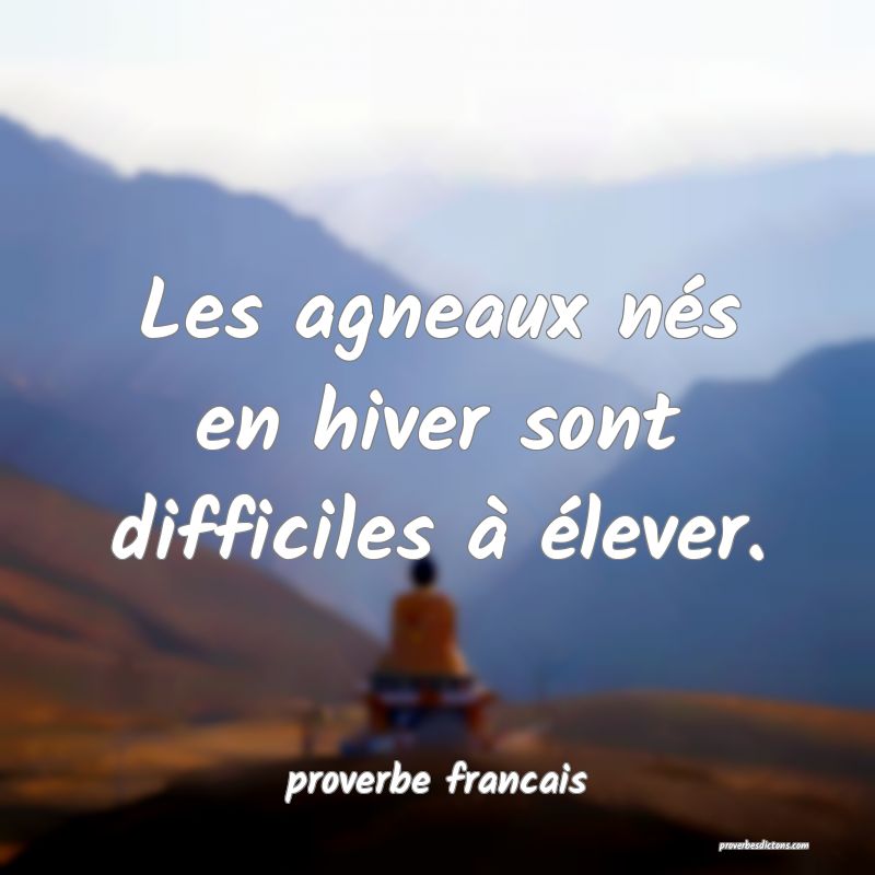  Les agneaux nés en hiver sont difficiles à élever.