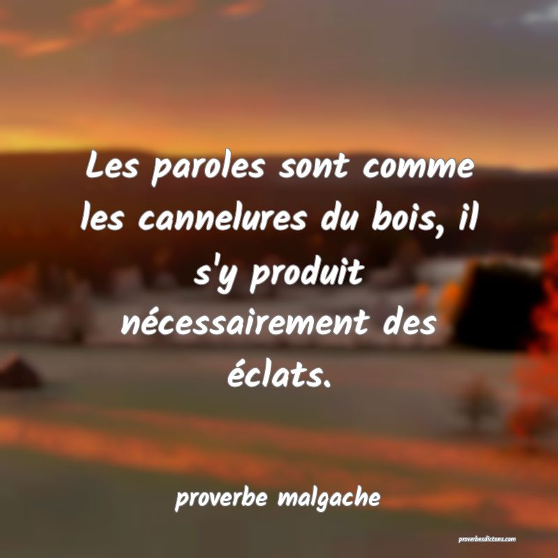 Les paroles sont comme les cannelures du bois, il s'y produit nécessairement des éclats.