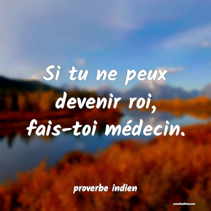 Si tu ne peux devenir roi, fais-toi médecin.