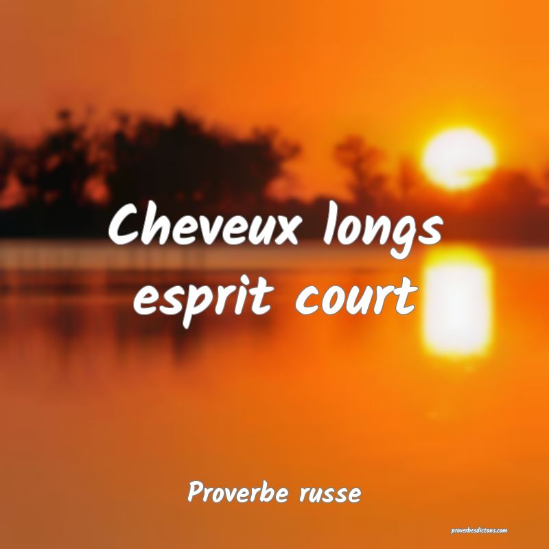  Cheveux longs esprit court
