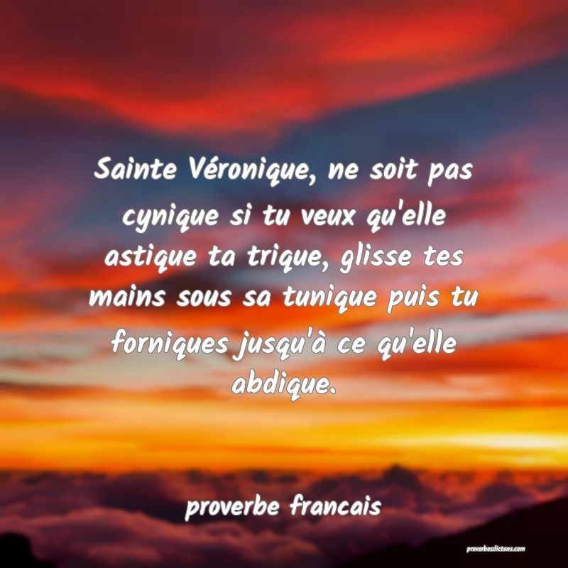  Sainte Véronique, ne soit pas cynique si tu veux qu'elle astique ta trique, glisse tes mains sous sa tunique puis tu forniques jusqu'à ce qu'elle abdique.