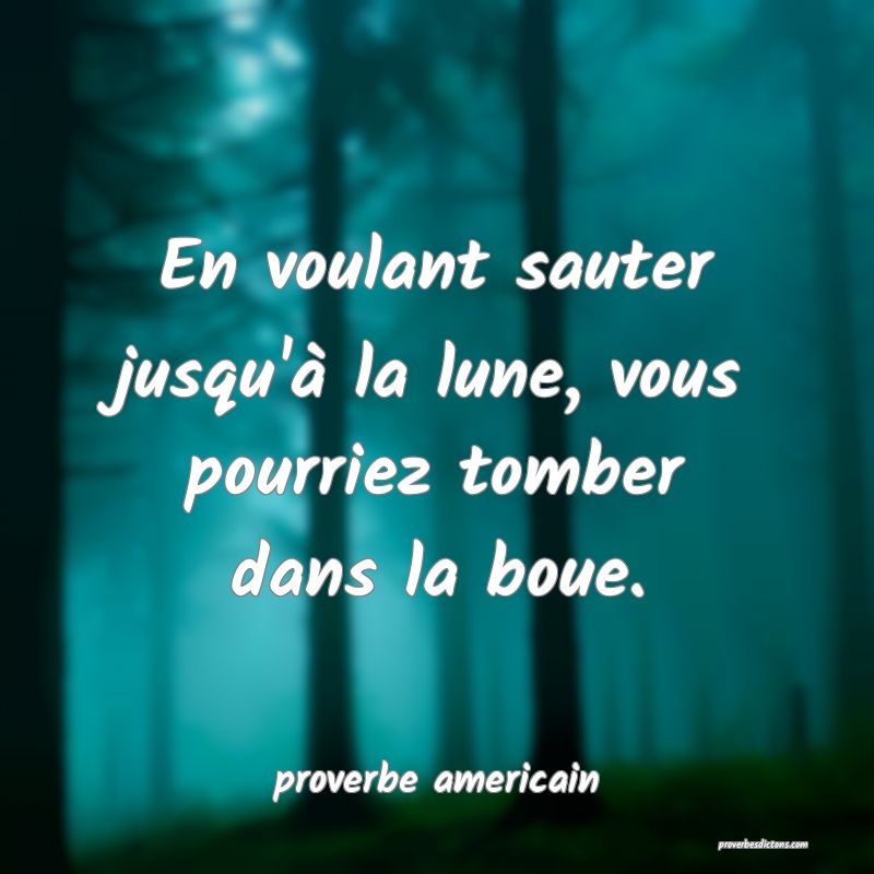  En voulant sauter jusqu'à la lune, vous pourriez tomber dans la boue.