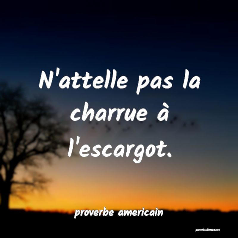  N'attelle pas la charrue à l'escargot.