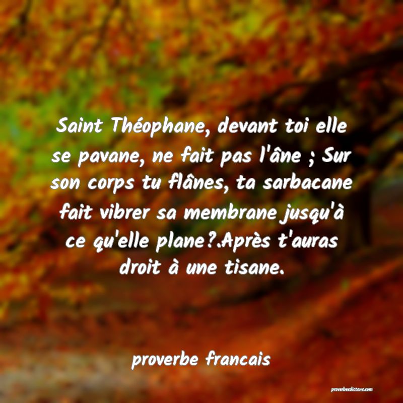 Saint Théophane, devant toi elle se pavane, ne fait pas l'âne ; Sur son corps tu flânes, ta sarbacane fait vibrer sa membrane jusqu'à ce qu'elle plane?.Après t'auras droit à une tisane.