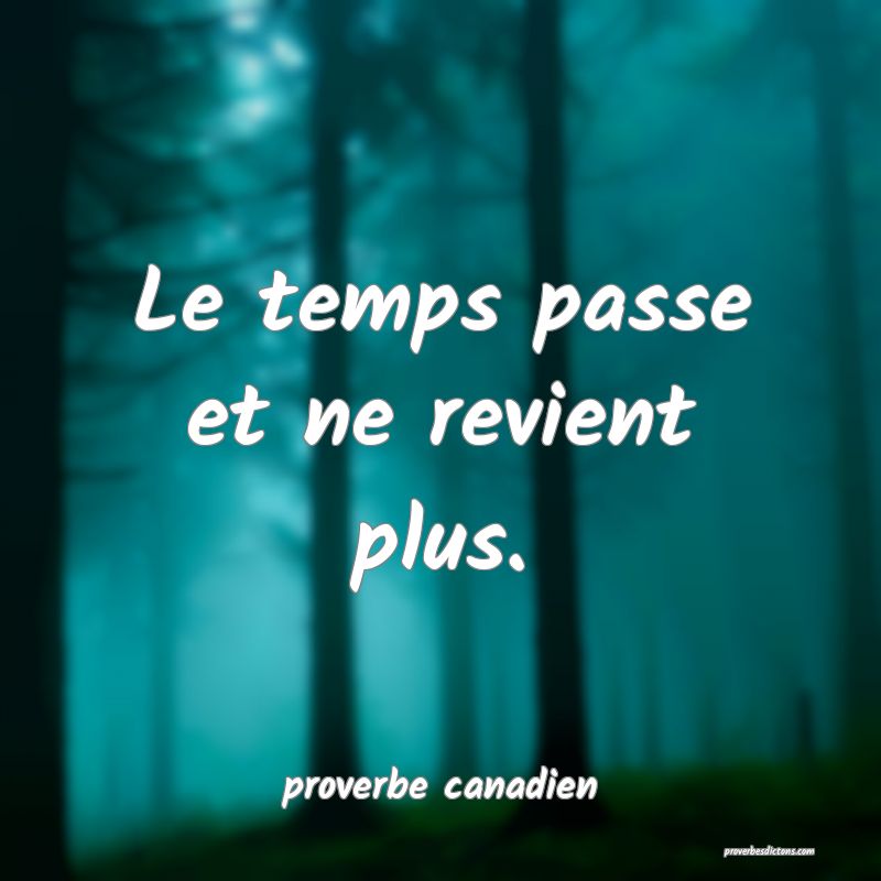  Le temps passe et ne revient plus.