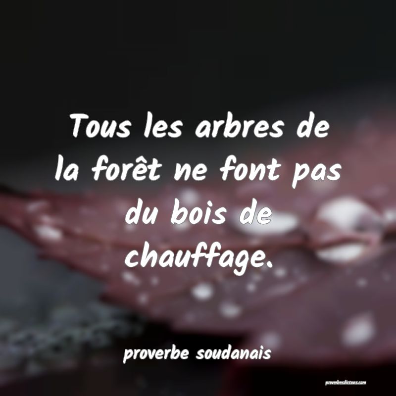  Tous les arbres de la forêt ne font pas du bois de chauffage.