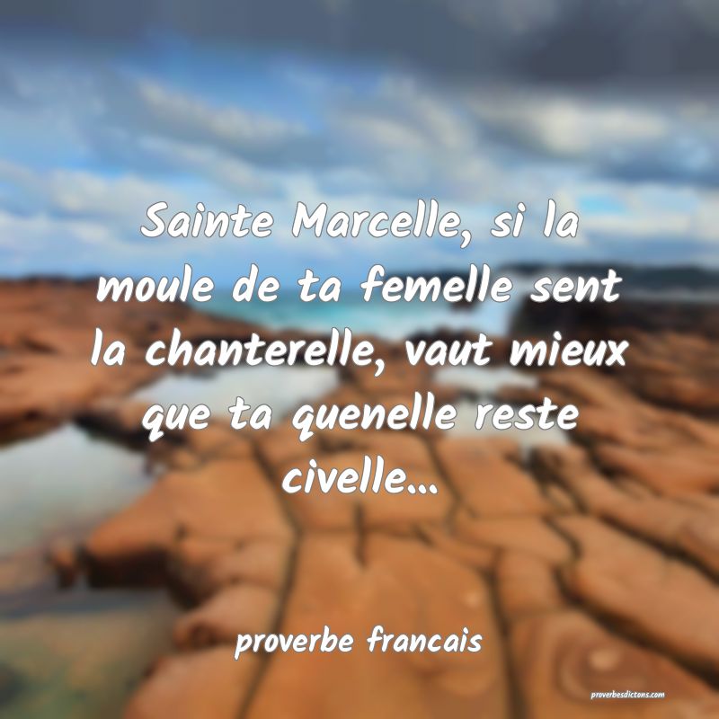  Sainte Marcelle, si la moule de ta femelle sent la chanterelle, vaut mieux que ta quenelle reste civelle...