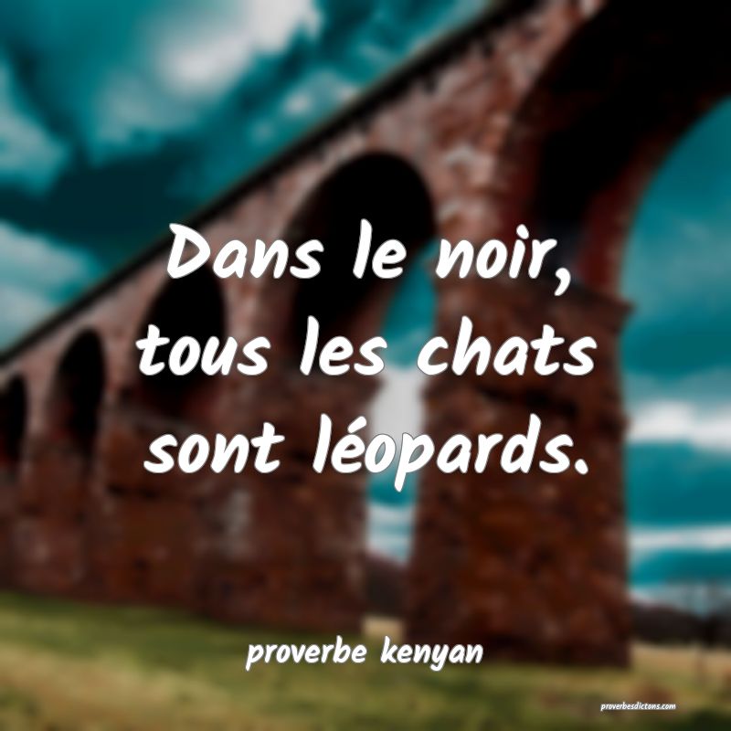  Dans le noir, tous les chats sont léopards.