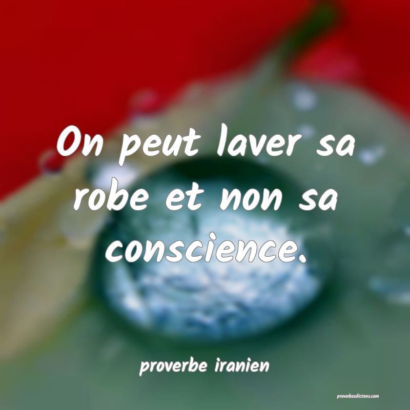  On peut laver sa robe et non sa conscience.