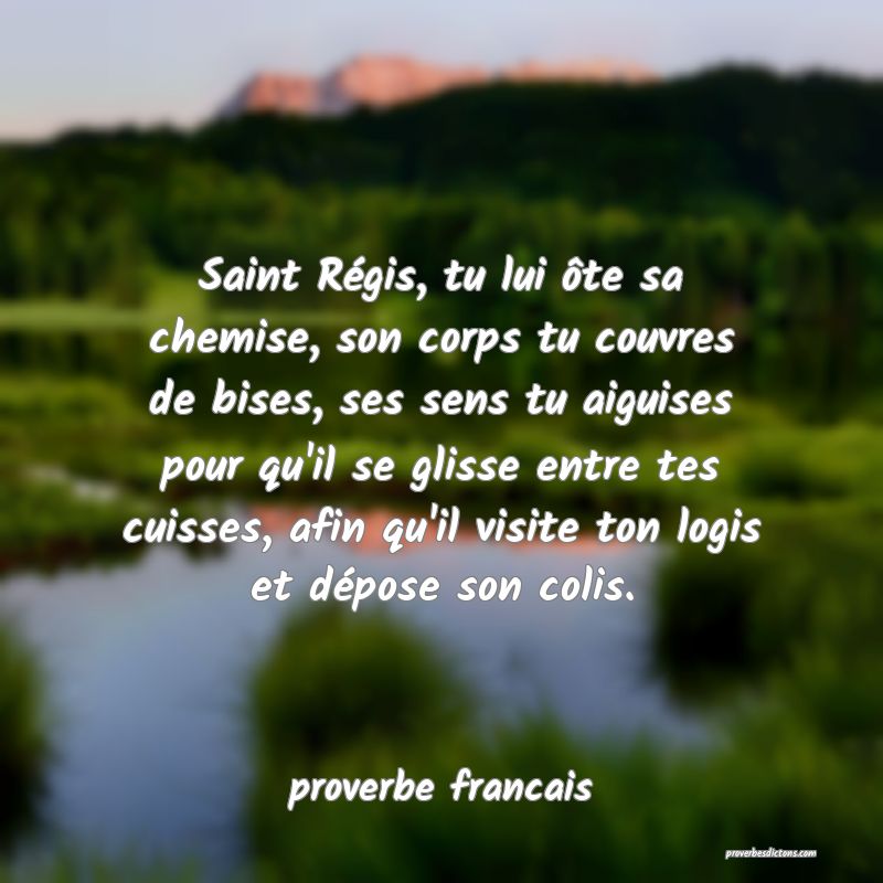 Saint Régis, tu lui ôte sa chemise, son corps tu couvres de bises, ses sens tu aiguises pour qu'il se glisse entre tes cuisses, afin qu'il visite ton logis et dépose son colis.
