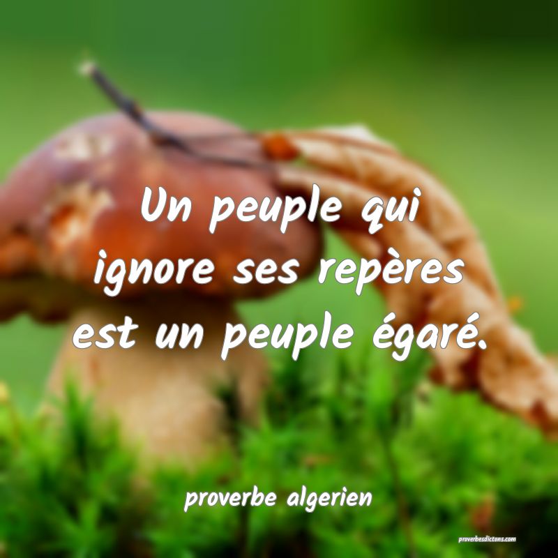  Un peuple qui ignore ses repères est un peuple égaré.