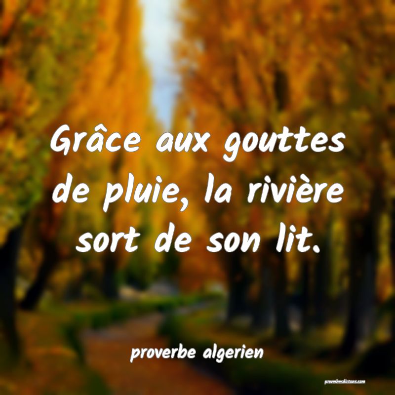  Grâce aux gouttes de pluie, la rivière sort de son lit.