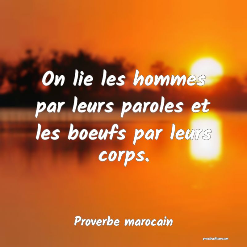  On lie les hommes par leurs paroles et les boeufs par leurs corps.