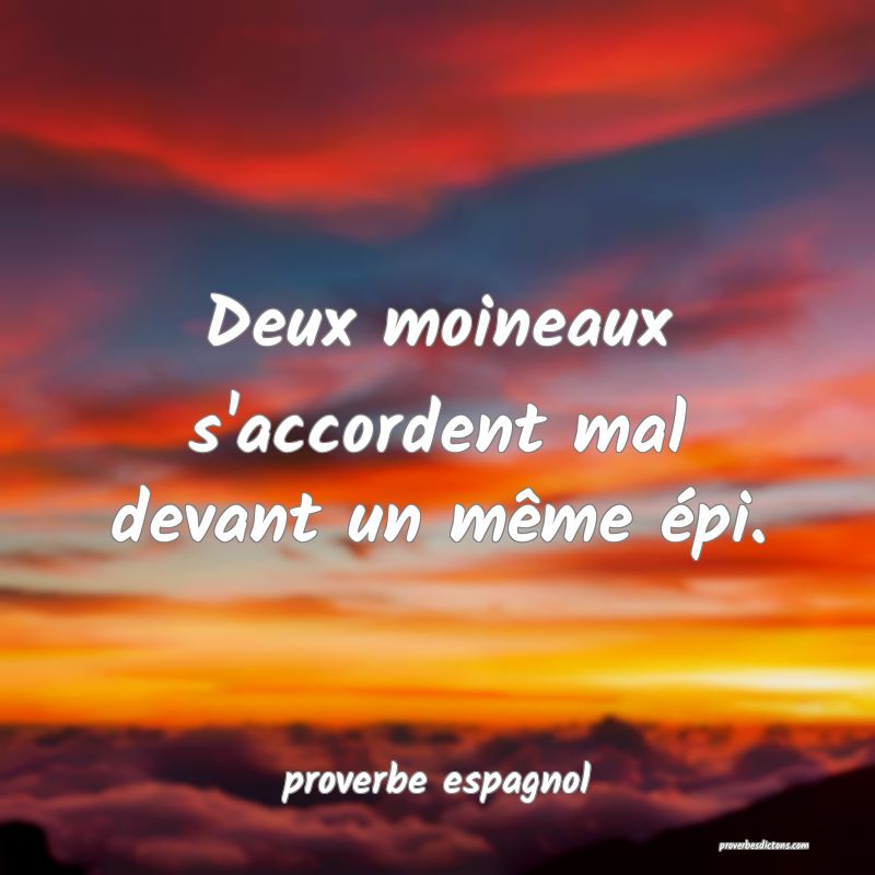  Deux moineaux s'accordent mal devant un même épi.
