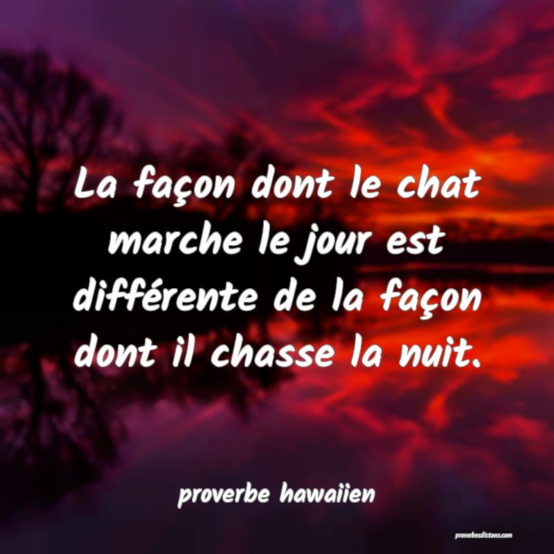  La façon dont le chat marche le jour est différente de la façon dont il chasse la nuit.