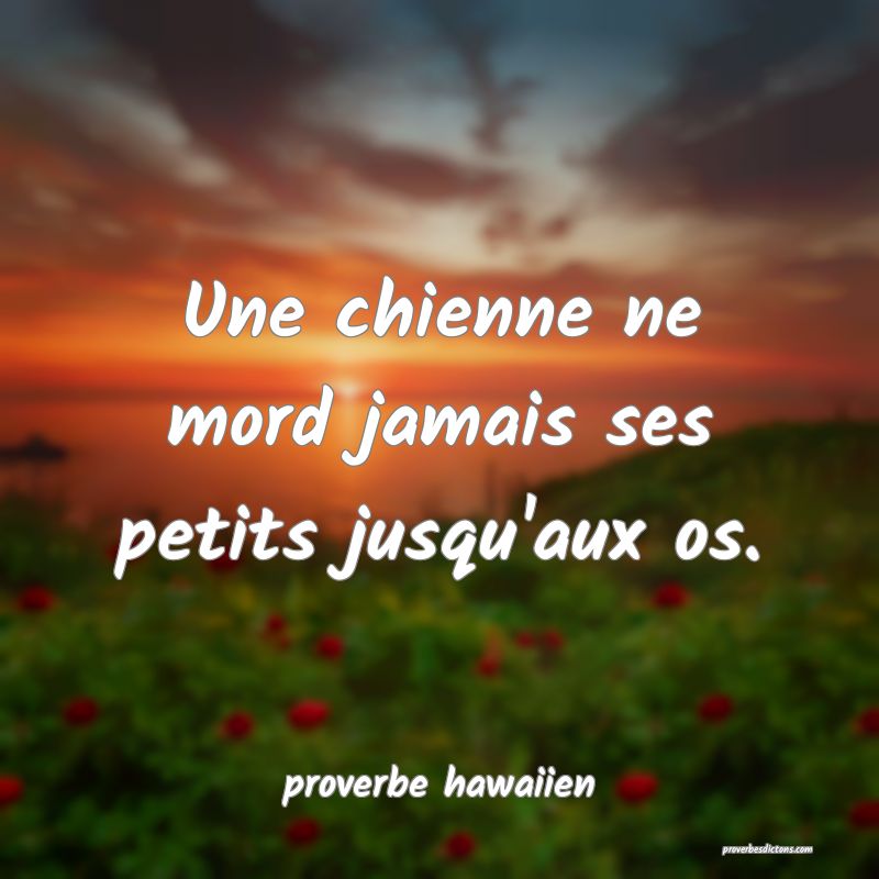 Une chienne ne mord jamais ses petits jusqu'aux os.