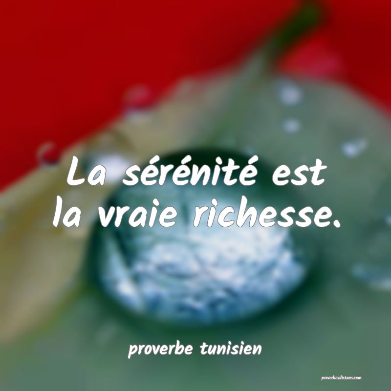  La sérénité est la vraie richesse.