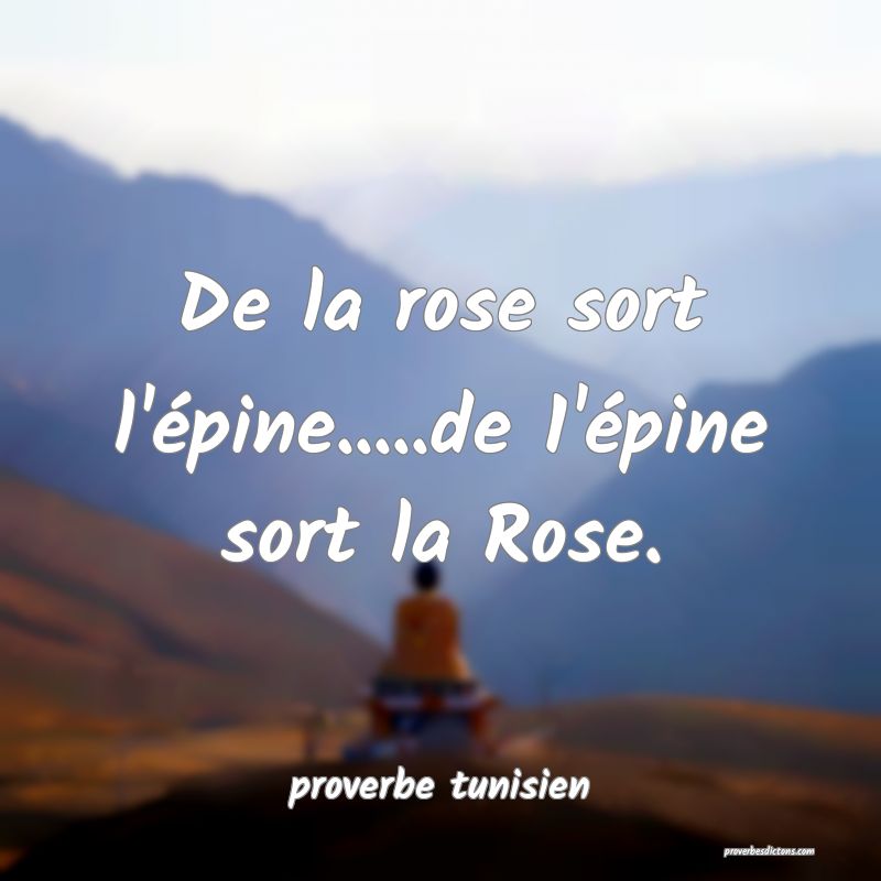  De la rose sort l'épine.....de 1'épine sort la Rose.