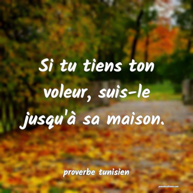  Si tu tiens ton voleur, suis-le jusqu'à sa maison.