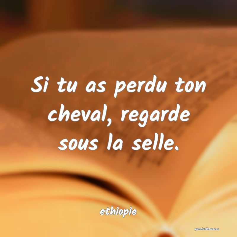  Si tu as perdu ton cheval, regarde sous la selle.