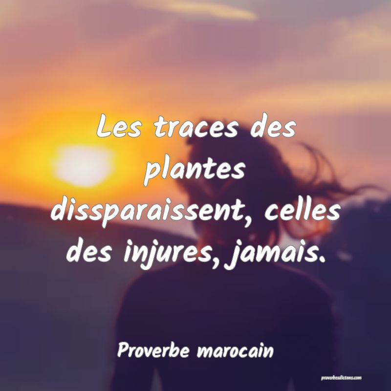  Les traces des plantes dissparaissent, celles des injures, jamais.