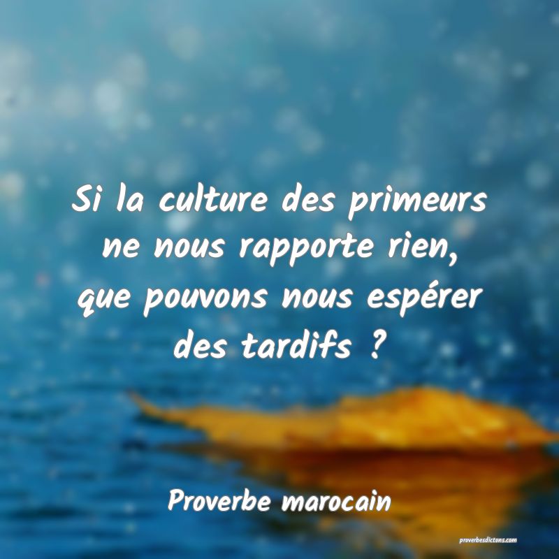  Si la culture des primeurs ne nous rapporte rien, que pouvons nous espérer des tardifs ?