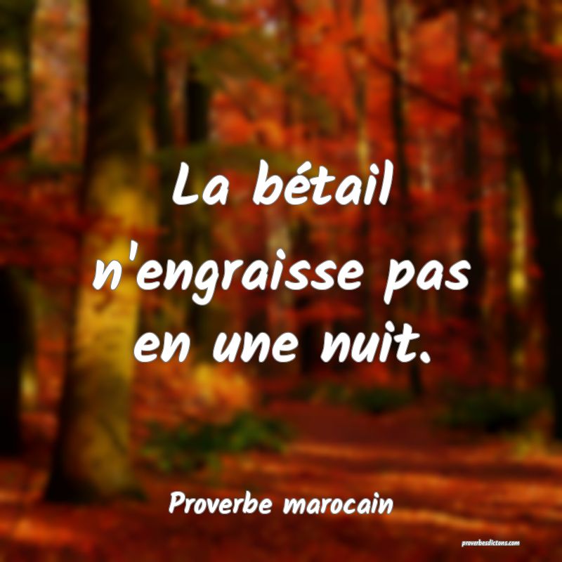 La bétail n'engraisse pas en une nuit.