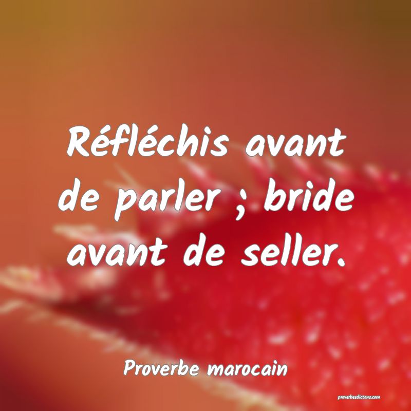  Réfléchis avant de parler ; bride avant de seller.
