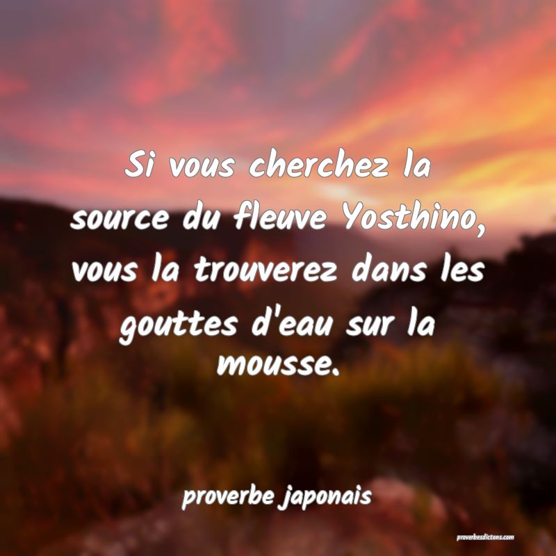  Si vous cherchez la source du fleuve Yosthino, vous la trouverez dans les gouttes d'eau sur la mousse.