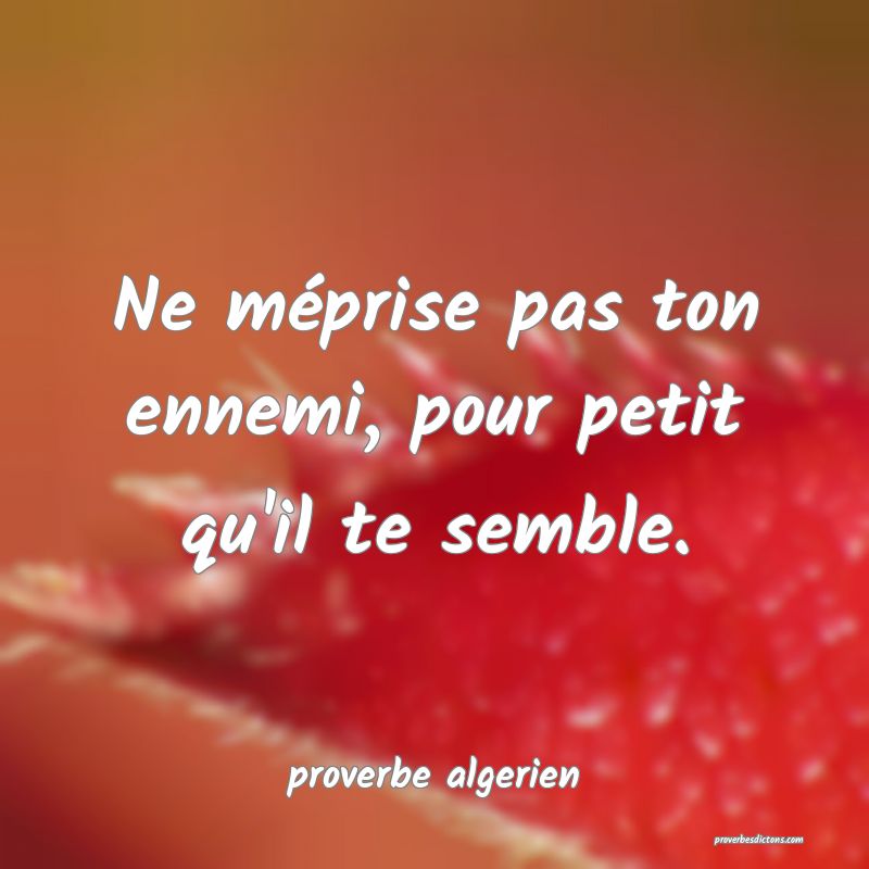  Ne méprise pas ton ennemi, pour petit qu'il te semble.