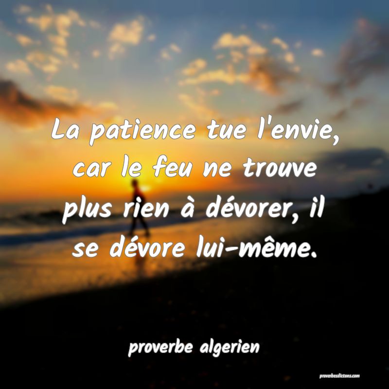  La patience tue l'envie, car le feu ne trouve plus rien à dévorer, il se dévore lui-même.