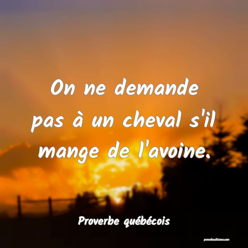  On ne demande pas à un cheval s'il mange de l'avoine.