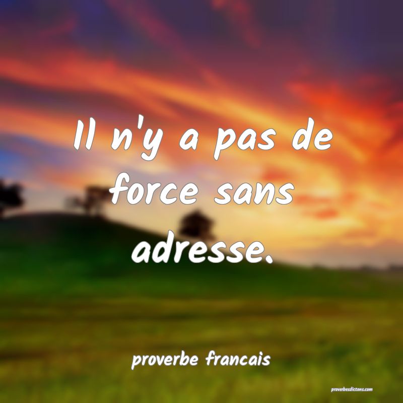  Il n'y a pas de force sans adresse.