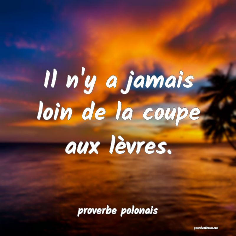  Il n'y a jamais loin de la coupe aux lèvres.