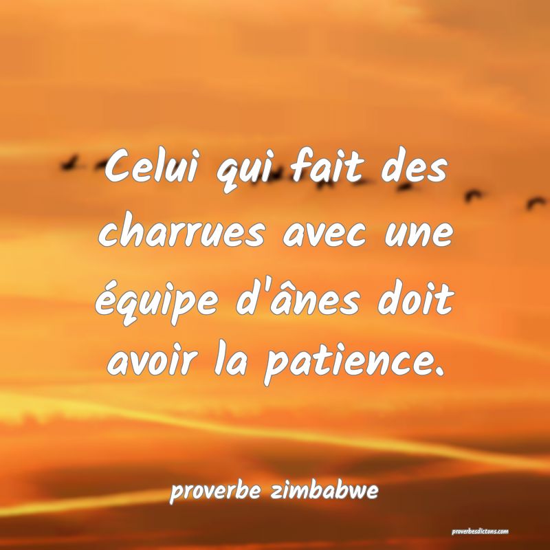  Celui qui fait des charrues avec une équipe d'ânes doit avoir la patience.