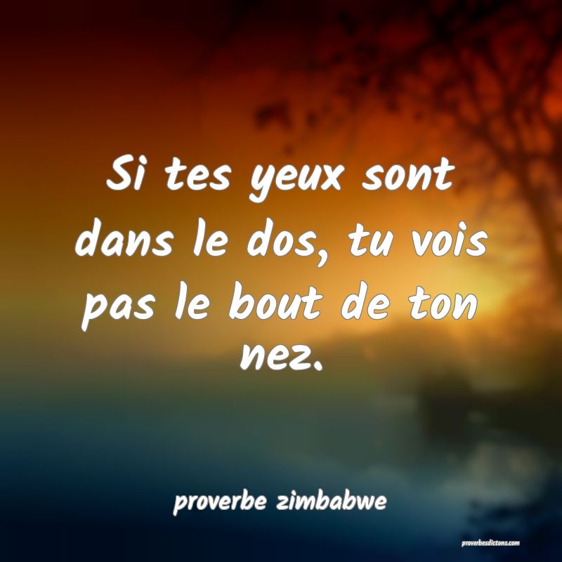  Si tes yeux sont dans le dos, tu vois pas le bout de ton nez.