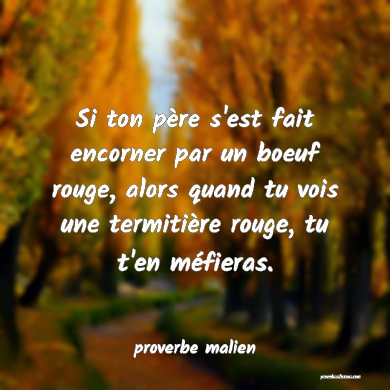  Si ton père s'est fait encorner par un boeuf rouge, alors quand tu vois une termitière rouge, tu t'en méfieras.