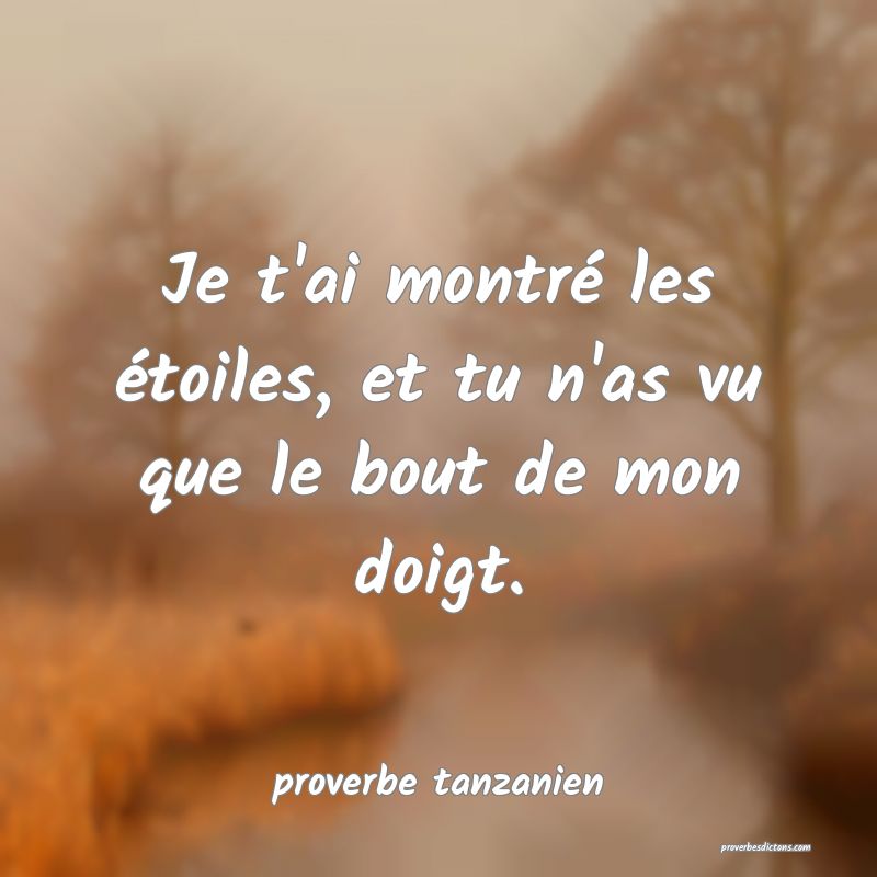 Je t'ai montré les étoiles, et tu n'as vu que le bout de mon doigt.