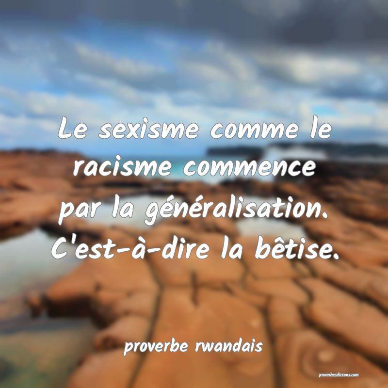 Le sexisme comme le racisme commence par la généralisation. C'est-à-dire la bêtise.