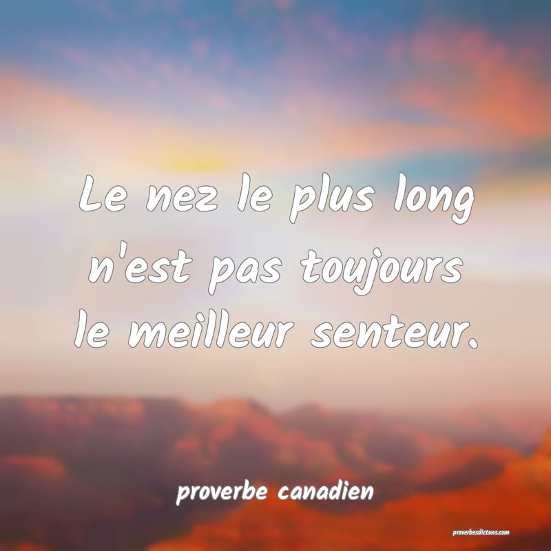 Le nez le plus long n'est pas toujours le meilleur senteur.